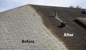 Residential roof soft wash — algae removal